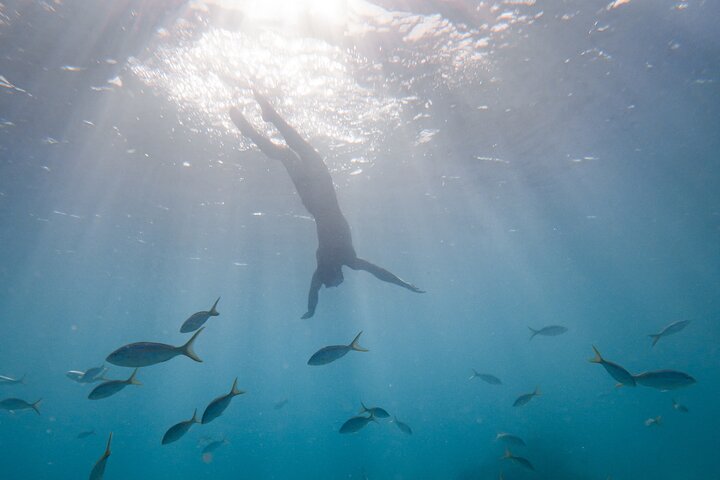 All Inclusive Beach and Snorkel Boat Tour to Icacos Island