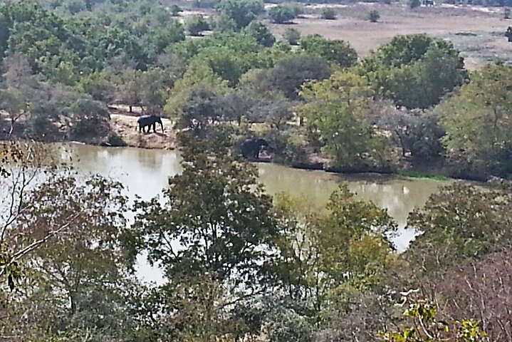 3 days (2 nights) Elephants safari private experience