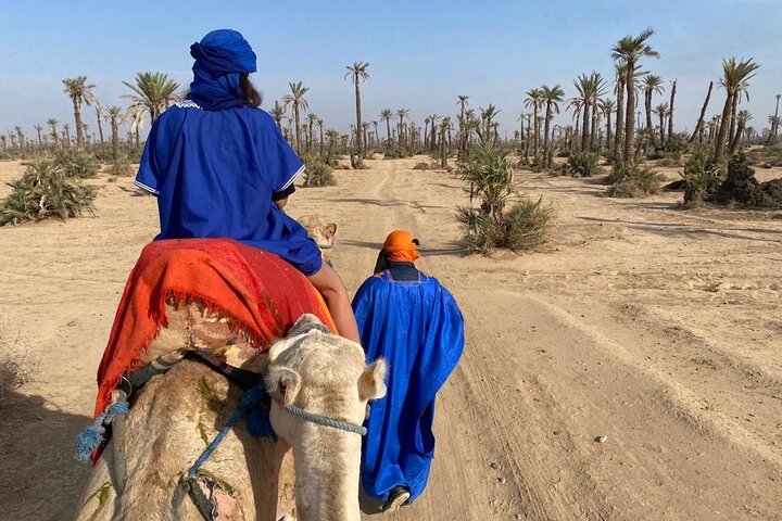 Camel ride in the palm grove of Marrakech