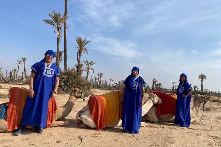 Camel ride in the palm grove of Marrakech