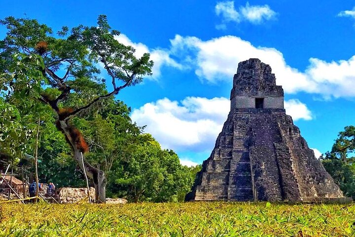 Tikal Day Tour From San Ignacio Belize