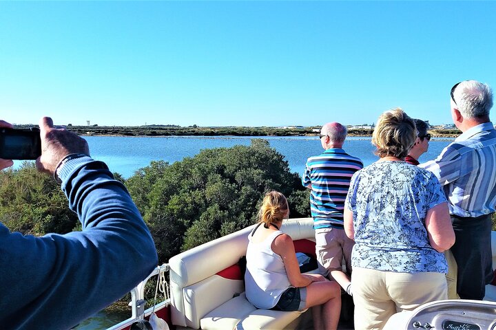 Ria Formosa Natural Park and Islands Boat Cruise from Faro