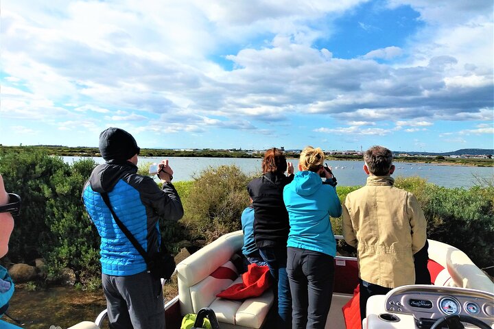 Ria Formosa Natural Park and Islands Boat Cruise from Faro