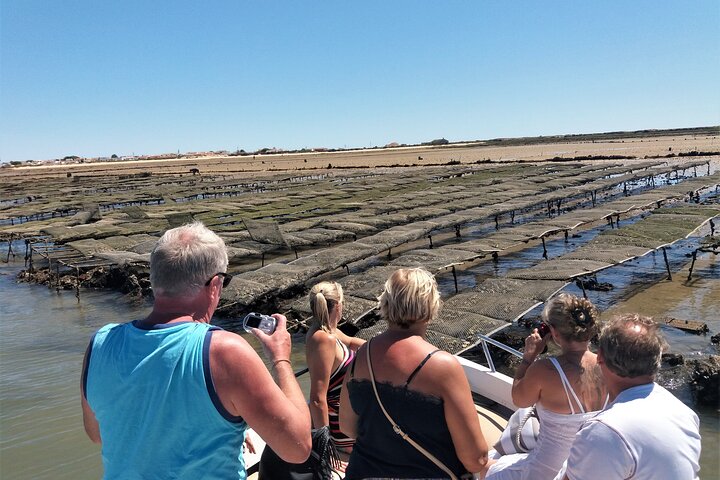 Ria Formosa Natural Park and Islands Boat Cruise from Faro