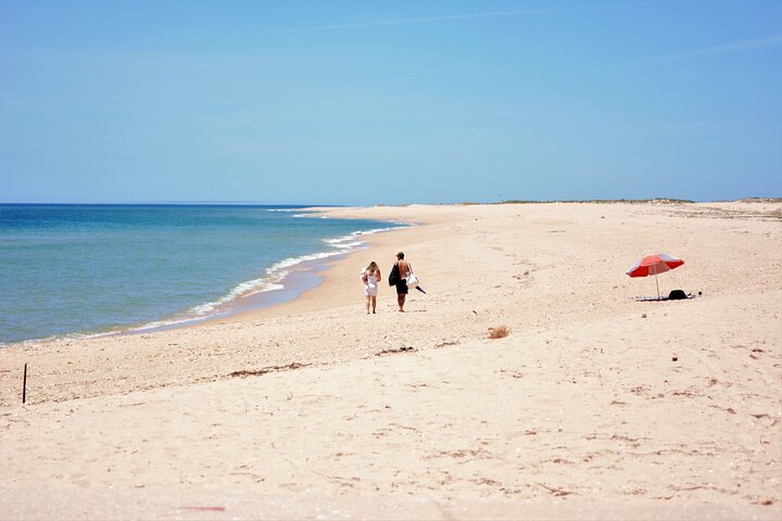 Ria Formosa Natural Park and Islands Boat Cruise from Faro