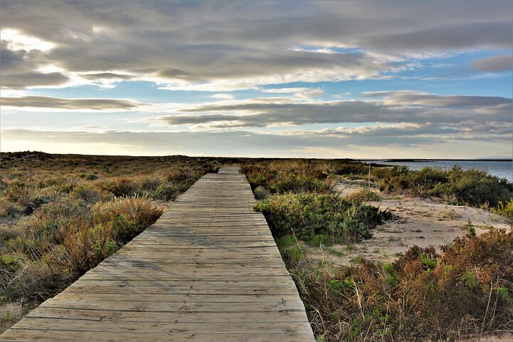 Ria Formosa Natural Park and Islands Boat Cruise from Faro