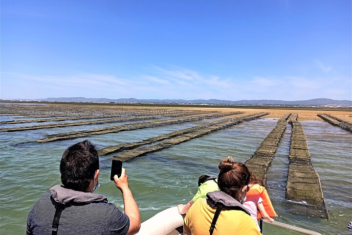 Ria Formosa Natural Park and Islands Boat Cruise from Faro