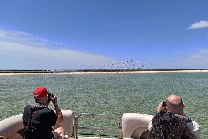 Ria Formosa Natural Park and Islands Boat Cruise from Faro