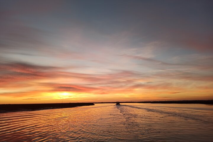 Ria Formosa Natural Park and Islands Boat Cruise from Faro