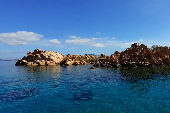 Boat tour to explore the Marine Protected Area of Tavolara