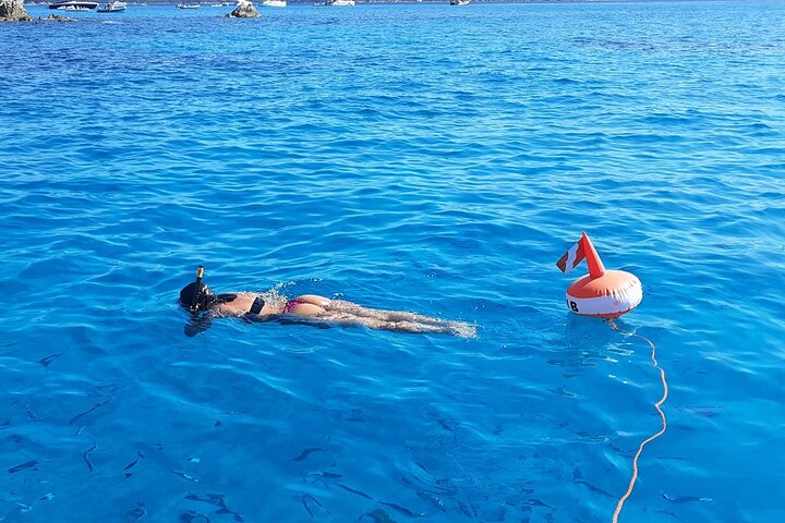 Boat tour to explore the Marine Protected Area of Tavolara