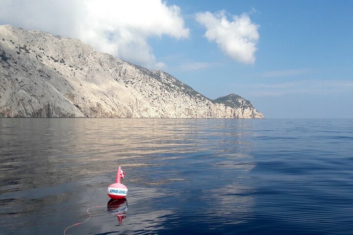 Boat tour to explore the Marine Protected Area of Tavolara