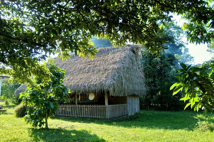 Half-Day Drumming, drum-making and cultural meal experience