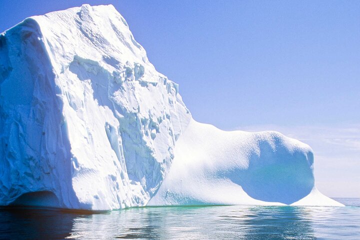 Newfoundland Puffin and Whale Watch Cruise