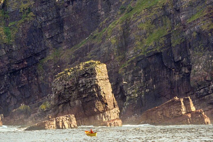 Newfoundland Puffin and Whale Watch Cruise