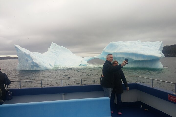 Newfoundland Puffin and Whale Watch Cruise