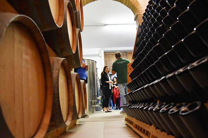 Wine Tasting and Guided Visit to the Vineyard and Cellar in S. Maria Imbaro