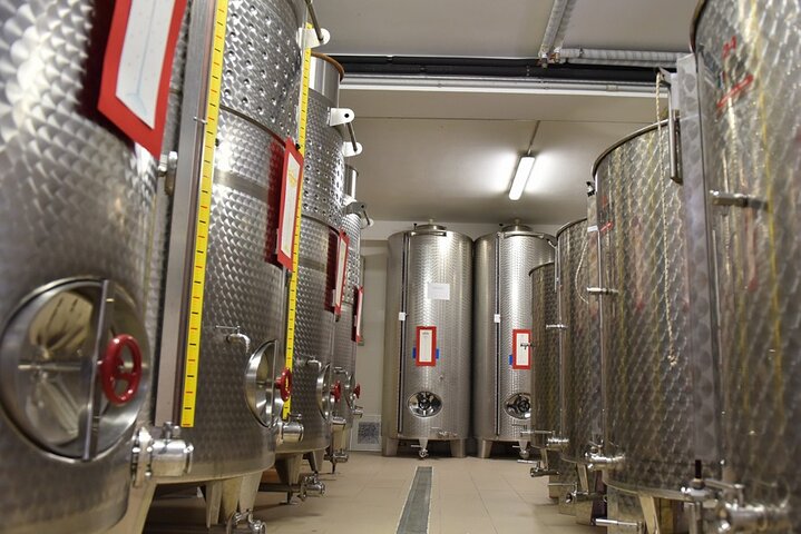 Wine Tasting and Guided Visit to the Vineyard and Cellar in S. Maria Imbaro