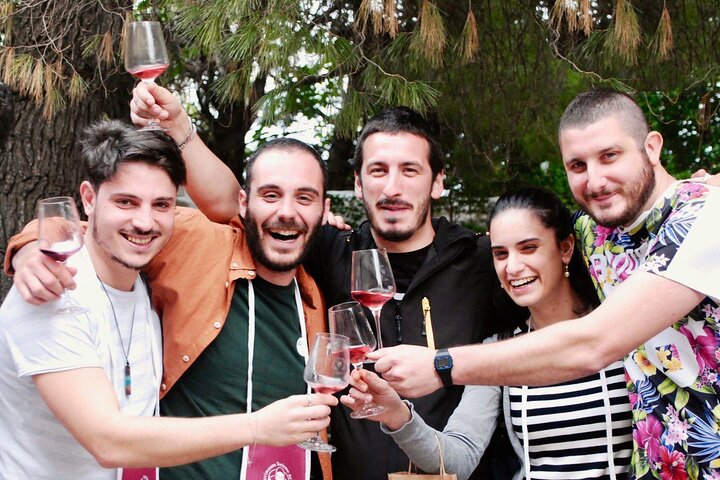 Wine Tasting and Guided Visit to the Vineyard and Cellar in S. Maria Imbaro