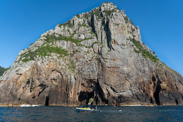 Coromandel Adventure and Wildlife Boat Tour to Aldermen Islands