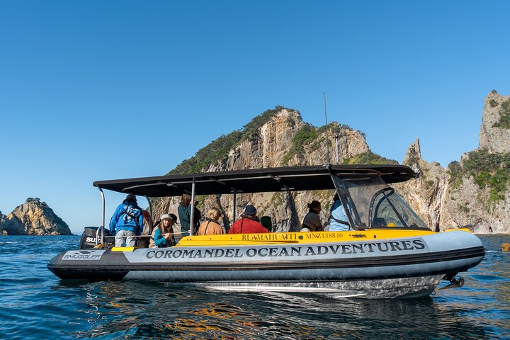Coromandel Adventure and Wildlife Boat Tour to Aldermen Islands