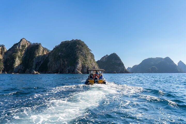 Coromandel Adventure and Wildlife Boat Tour to Aldermen Islands