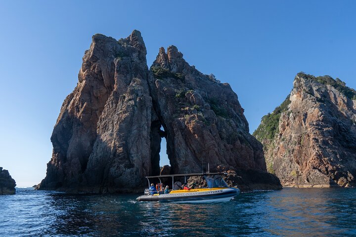 Coromandel Adventure and Wildlife Boat Tour to Aldermen Islands