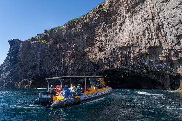 Coromandel Adventure and Wildlife Boat Tour to Aldermen Islands
