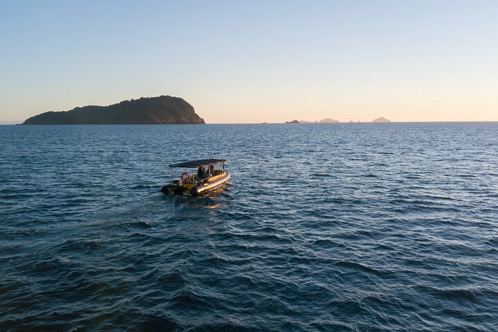 Coromandel Adventure and Wildlife Boat Tour to Aldermen Islands