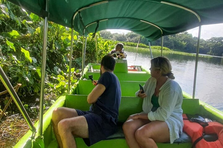 Monkey Tour Adventure with Gamboa Rainforest Nature Walk