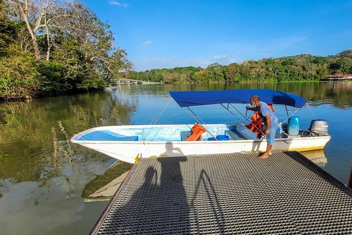 Monkey Tour Adventure with Gamboa Rainforest Nature Walk