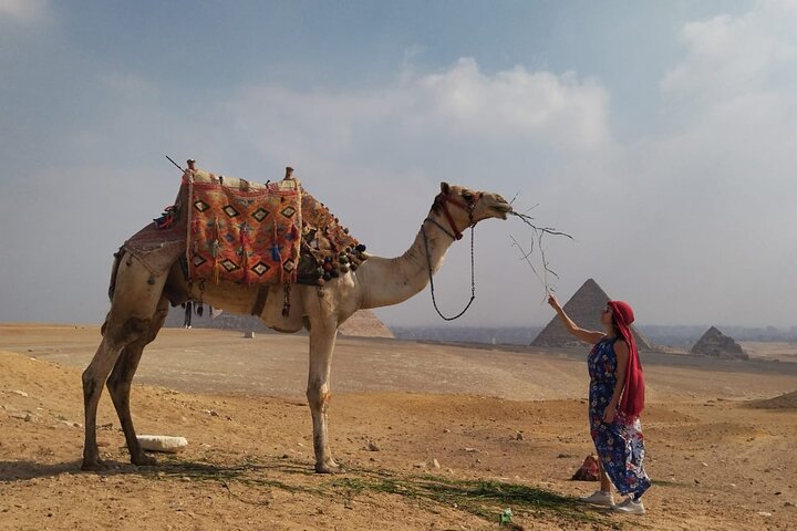 Half Day Tour Giza Pyramids& Great Sphinx with Private Tour Guide