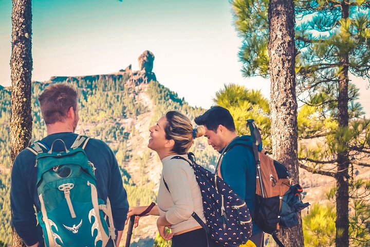 The Volcano Heart Tour: Hiking, Tasting and Sunset Experience