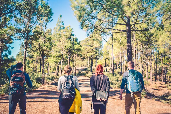 The Volcano Heart Tour: Hiking, Tasting and Sunset Experience