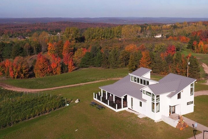 4-Hour Traverse City Sunset Wine Tour: 3 Wineries on Old Mission Peninsula