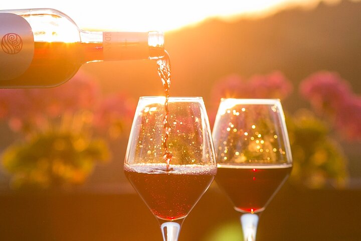 4-Hour Traverse City Sunset Wine Tour: 3 Wineries on Old Mission Peninsula