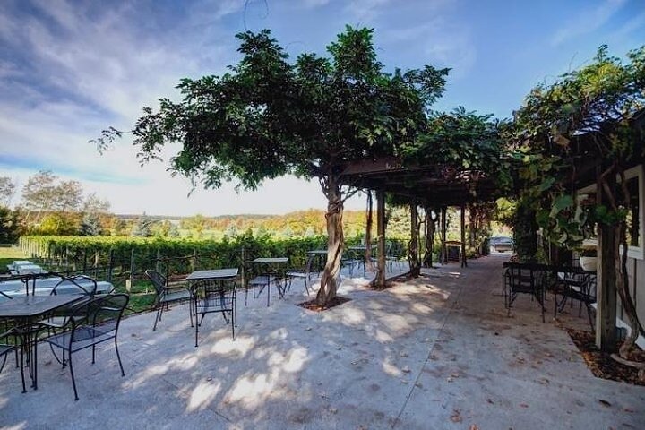 4-Hour Traverse City Sunset Wine Tour: 3 Wineries on Old Mission Peninsula
