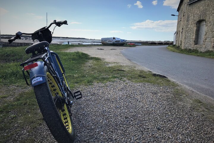 Half day circuit in Electric Fatbike Guided by GPS
