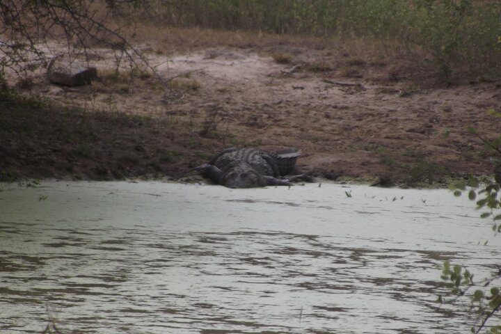 Full Day Safari Tour in Yala National Park