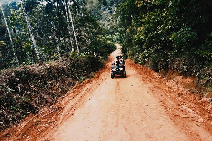 Koh Phangan ATV Jungle & Viewpoints Adventure