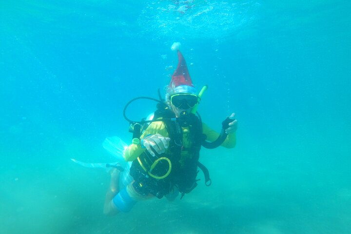 Beginner Scuba Diving Guided Tour - No Experience Required
