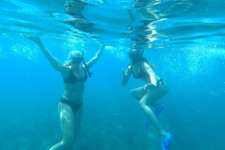 Coral Reef Snorkel Adventure with Photos and Videos