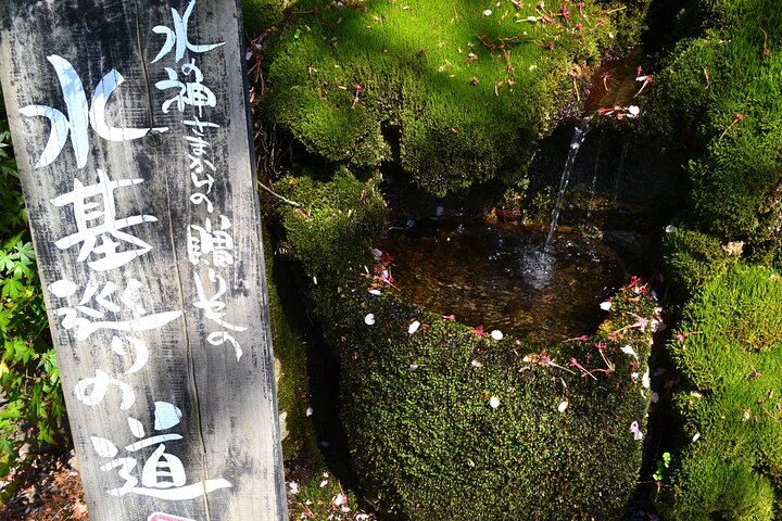 Private guided tour: Mt. Aso volcano, grasslands, Aso Shrine