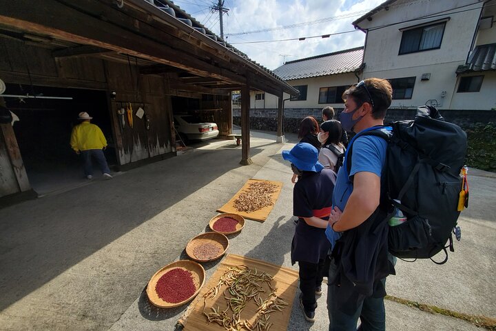 Enjoy a walk, lunch, and tea time at the 2000 years old Teno Farm Village.