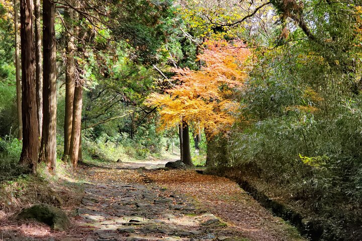 Walking through the Aso Caldera, Historical Walk along the "Bungo Kaido"