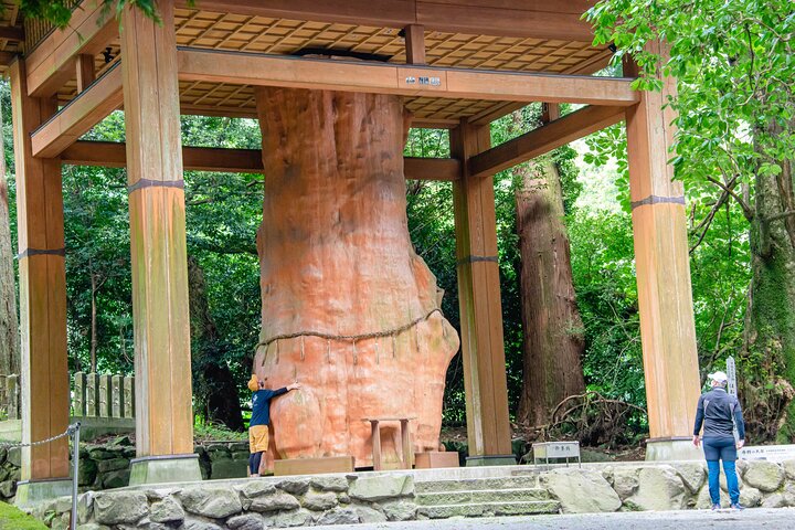 3-Days experience to feel the nature of Aso