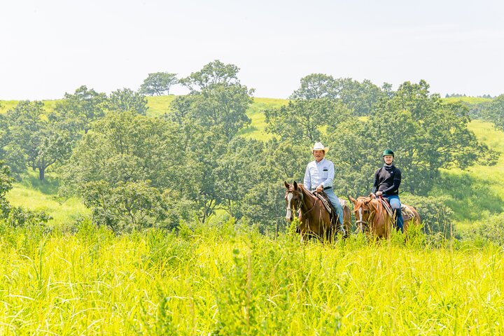 3-Days experience to feel the nature of Aso