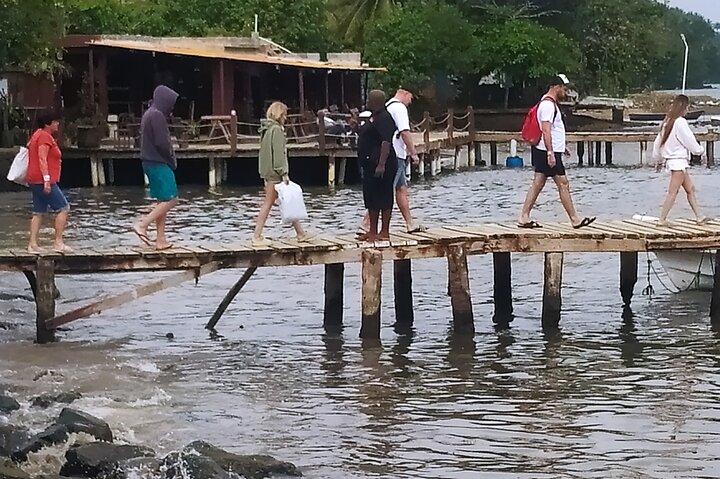 Samaná Island & Waterfall Adventure: Bacardi Beach Experience