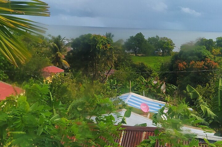 Samaná Island & Waterfall Adventure: Bacardi Beach Experience
