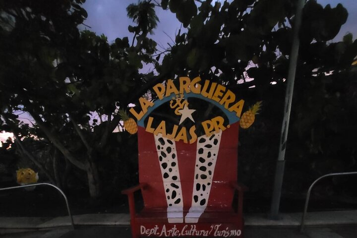 La Parguera Bio Bay Boat Ride and Swimming w/ San Juan Transport